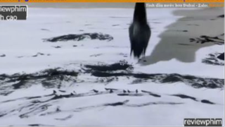 cười ngoác mồm p2 #reviewphimdinhcao