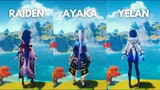 Who is BEST F2P DPS ? Raiden vs Yelan vs Ayaka !! [ Genshin Impact ]