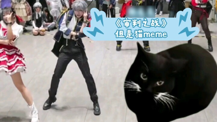 [Yiling☆Sena Izumi cos] Pertarungan penghakiman, tapi meme kucing yang tidak terduga?