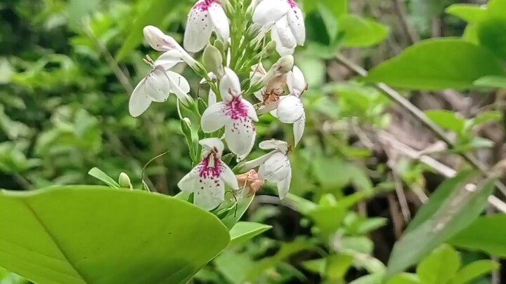 অনেক  সুন্দর