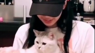 Lisa对自己的小猫VS对智秀的月熊 哈哈哈哈哈