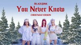 BLACKPINK - 'You Never Know' (Christmas Version)