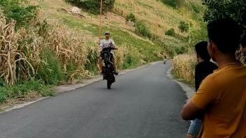 goyang motor