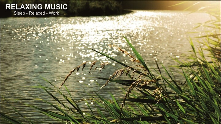 Healing Sounds of Water Calm Nature Sounds