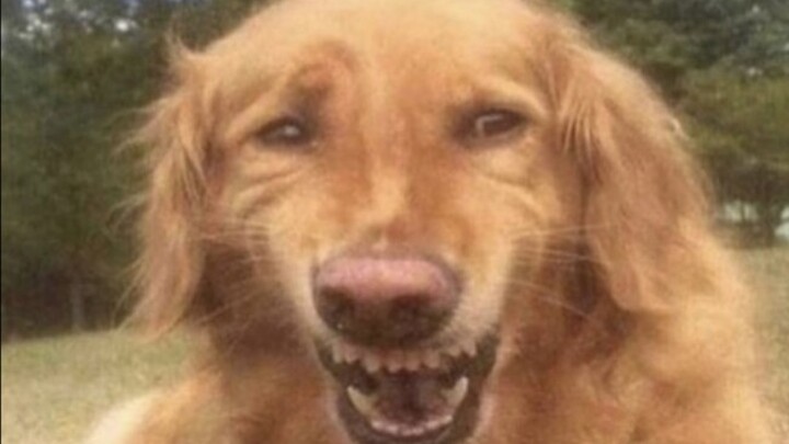 【บันทึกแอบสแตรกต์สุดแปลกบน TikTok #82】