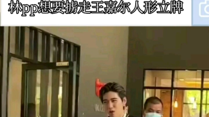 【Lin pp, Brother Ma is watching you】P-bao, you're just too, too, too adorable!