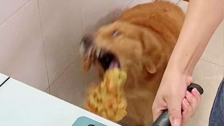 狗子：”快 给 我 吃 一 口 吧！！“
