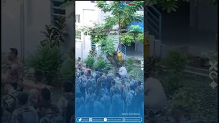 Anti Malu-malu Club! Momen Mahasiswa Tetap Fokus Cari Lumut untuk Praktikum di Tengah Gempuran Casis
