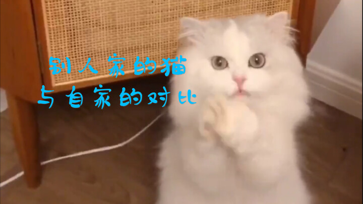 Con nhà người ta, có so sánh mới đau lòng