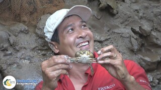 TAY KHÔNG RA SÔNG MÒ CUA BIỂN | Hội Ngộ Miền Tây #477