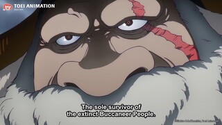 Kuma,Joy Boy vs gorosaii