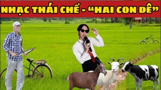 Nhạc Thái chế cực lầy: Hai con dê | Hoàng Hiệp Entertainmemt | Anak ft IT