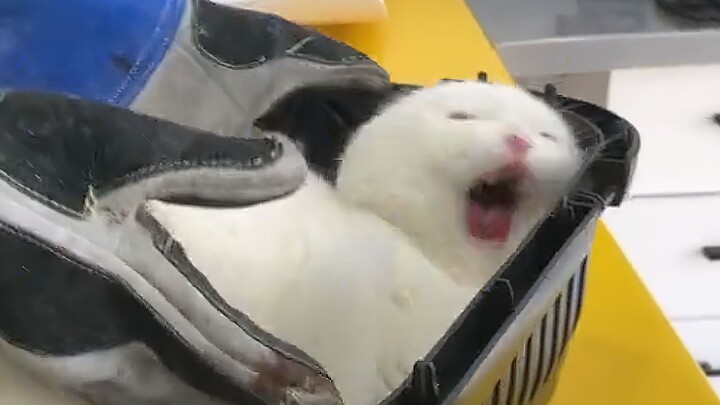 我！不！要！打！针！！！