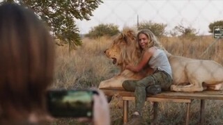 Mia and the white Lion