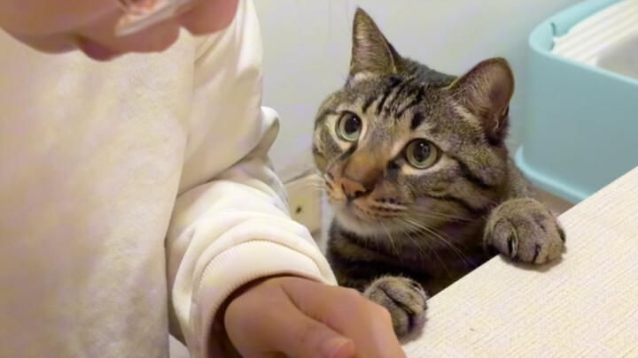 豹豹:你每天就吃这个啊？溜了溜了