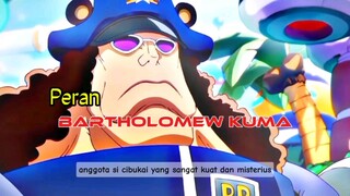 Peran Kuma di dunia || one piece