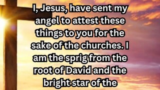 Daily Reflection August 06, 2025 #faith #bible #reflection