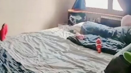 แมว: หวาดเสียวมาก เกือบหลับตายคาถนนเลย