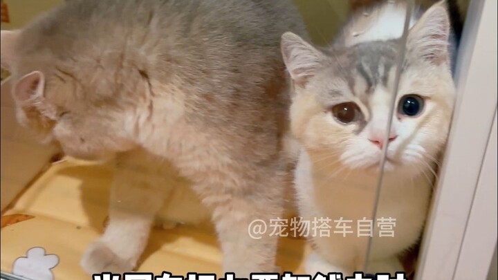 นึกว่าเป็นความชอบพิเศษ ไม่คิดเลยว่าจะเป็นความรักผิดๆ