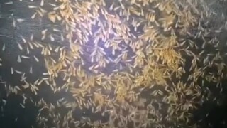 露营的乐趣谁懂啊