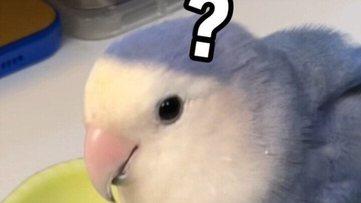 “Mom, Wash Your Feet”