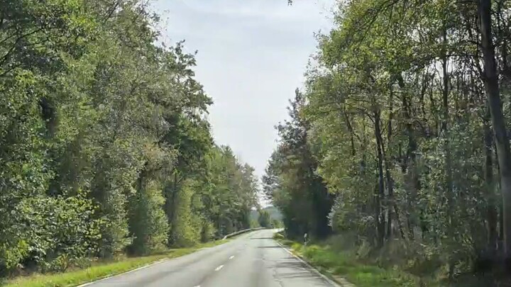 هوای عالی 德国林间公路自驾 🚗 呼吸大自然，路过宁静的欧洲乡村 | 4K ASMR Driving