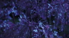 A Moment But Forever Episode 4 Eng Sub