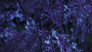 A Moment But Forever Episode 4 Eng Sub