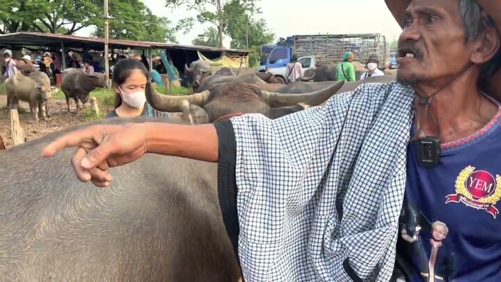 พ่อเส็งเทวดาสนาม สงสารนางฟ้ามอบทุนการศึกษา200 พร้อมสอนวิชานายฮ้อย