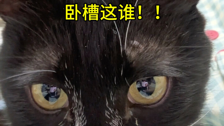 Mayor: Hari ini aku kembali terpesona oleh diriku sendiri