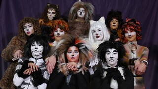 Andante CATS musical(cover-trailer)18 12 2022