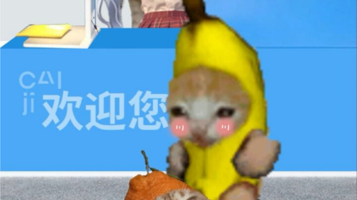 Rahasia Kecil Kucing Pisang