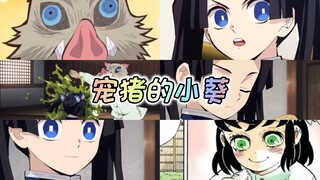 养猪专业户小葵，不仅会做饭还宠夫～