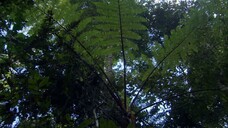 [Tâp 2 - Thuyết Minh] Cuộc sống hoang dã - Life (2009) S01E02: Reptiles and Amphibians