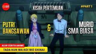 MURID SMA BIASA YG JATUH CINTA KEPADA PUTRI BANGSAWAN - ALUR CERITA ANIME TADA KUN WA KOI WO SHINAI