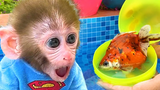Monkey Baby Bon Bon เปิดไข่เซอร์ไพรส์มีลูกเป็ด ก้อย และว่ายน้ำกับลูกสุนัขที่สระ