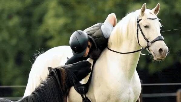 Beautiful 🫶🫶🐎
