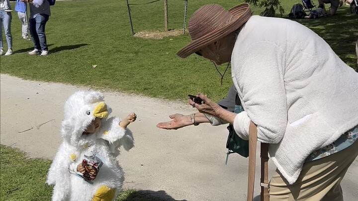 Khi một con ngỗng Trung Quốc đột nhập vào trang trại Mỹ