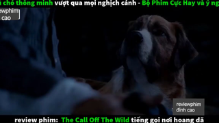 tiếng gọi nơi hoang dã p3 #reviewphimdinhcao