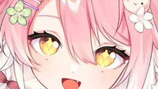 [แนะนำตัวเอง] อันริ ชิซุย จิ้งจอกสีชมพูที่ถูกขโมยอาหารและเดบิวต์⭐