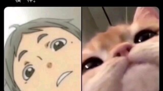 Some volleyball memes