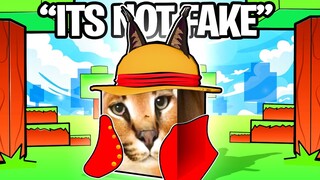 Playing The Fakest One Piece Games on Roblox (OMG)