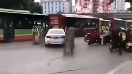 ยาม: ผมดูแลประตูใหญ่นี่อยู่ ถ้าประตูนี้หนีไป งานของผมจะหายไปเลยใช่ไหม?