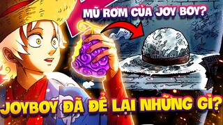 JOY BOY ĐÃ ĐỂ LẠI GÌ NGOÀI KHO BÁU ONE PIECE?!