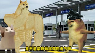 cheesm Take the highway?