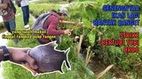 GILA BROO!! Mancing di Selokan Kecil Dapat Ikan Banyak || SAMPE DITANGKAP PAKE TANGAN!!