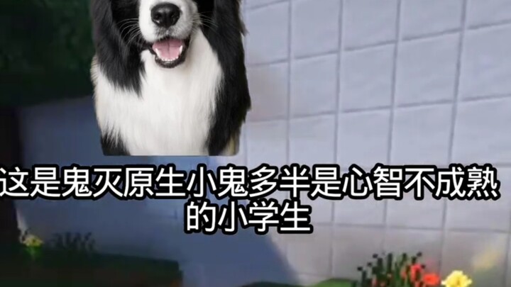 Ulasan tajam tentang si kecil Kimetsu