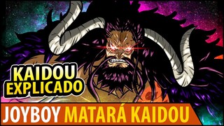 O FIM ABSOLUTO DE KAIDOU!! ENTENDA A CONSTRUÇÃO DO MELHOR VILÃO DE ONE PIECE! (Leia o 1º comentário)