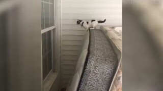 Cười ra nước mắt với những tình huống này #40