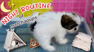 NIGHT ROUTINE NG MATCHAPUPS! | TRES MARIAS AT 3 WEEKS OLD